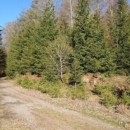 Gaestehaus Ballmann 2 Apartment *