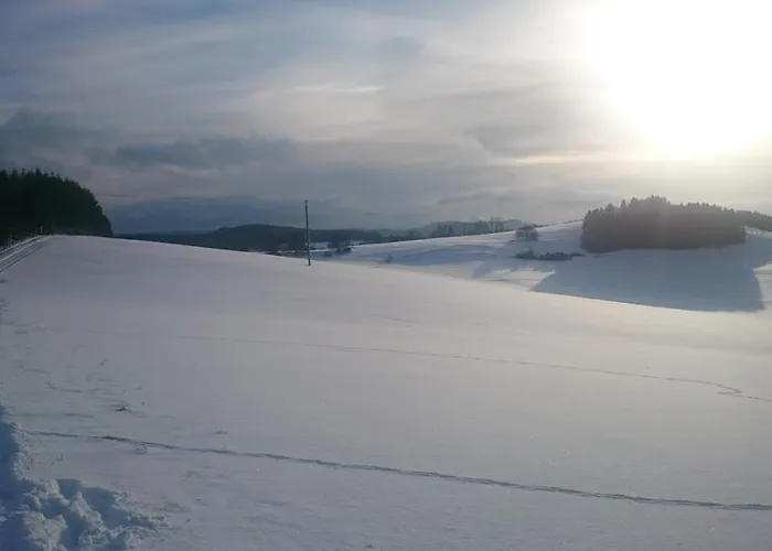 Gaestehaus Ballmann 2 Apartment