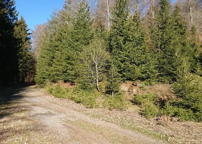 Gaestehaus Ballmann 2 Apartment *